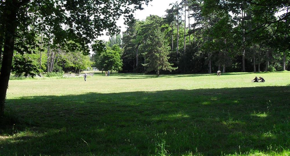 The park of Bois-Préau