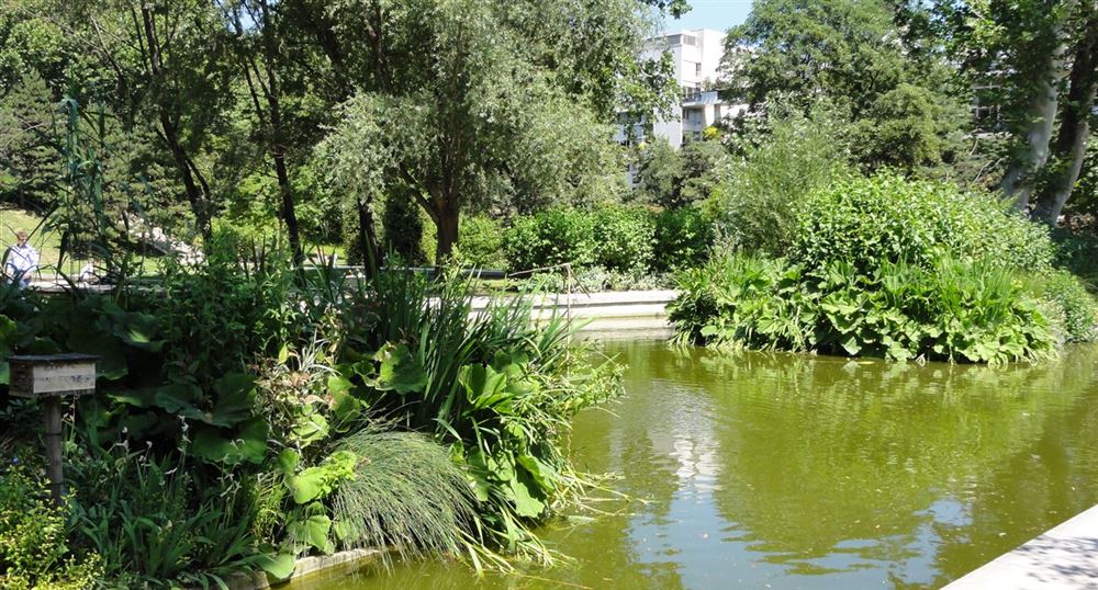 Pond of the park of Bercy