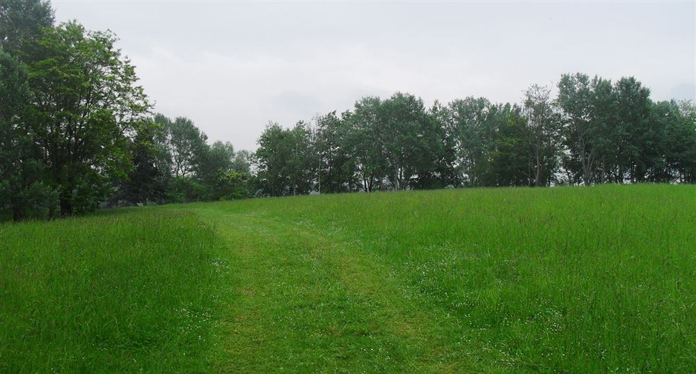 Chemin le long des rives