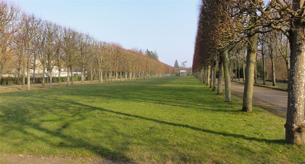 Alleys of the Château de Compiègne
