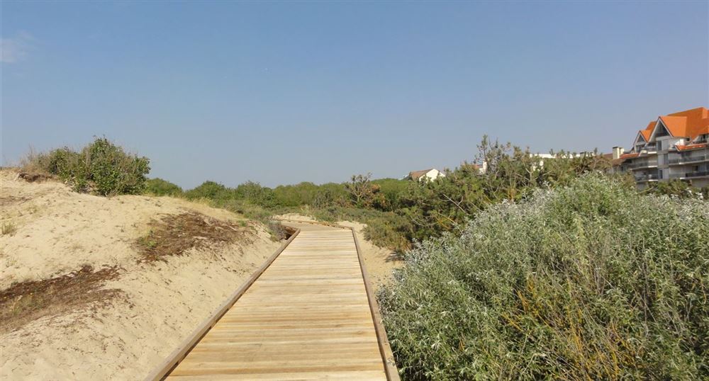 The coastal path