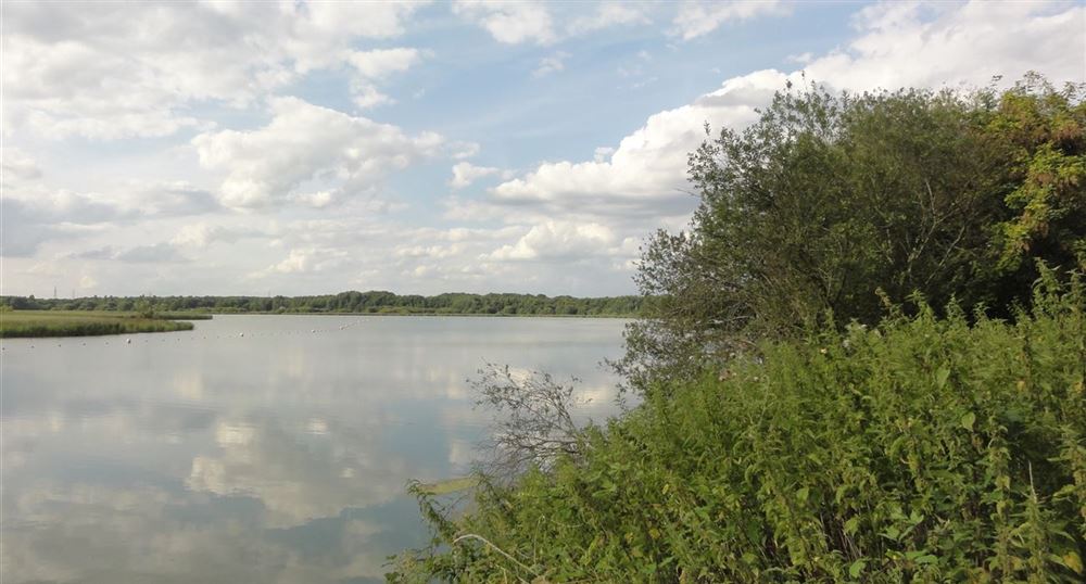L'étang de Saint-Quentin-en-Yvelines