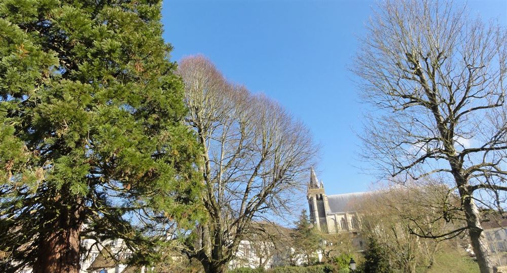 View on the church of Saint Peter