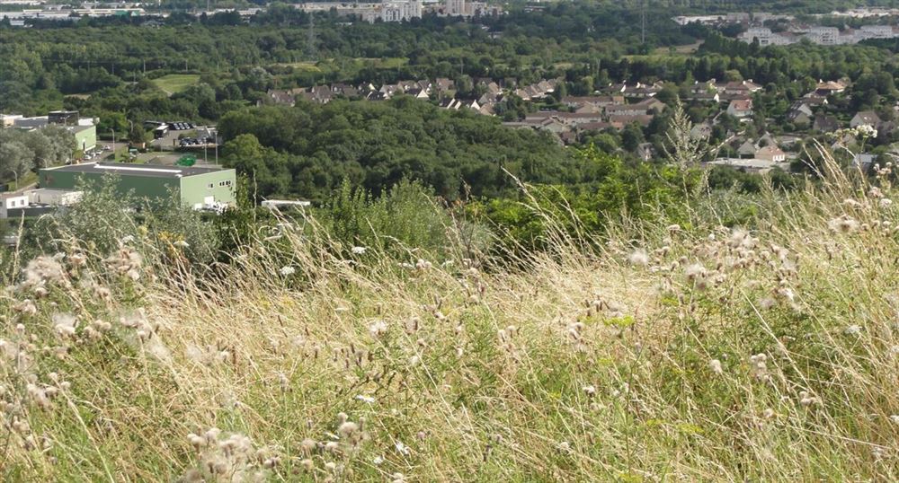 View on Saint-Quentin-en-Yvelines