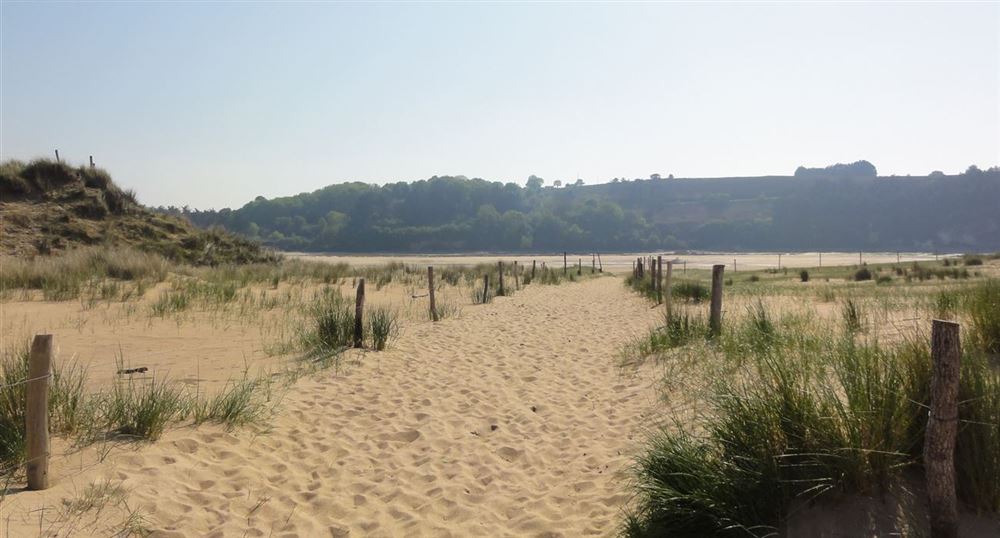 The dunes