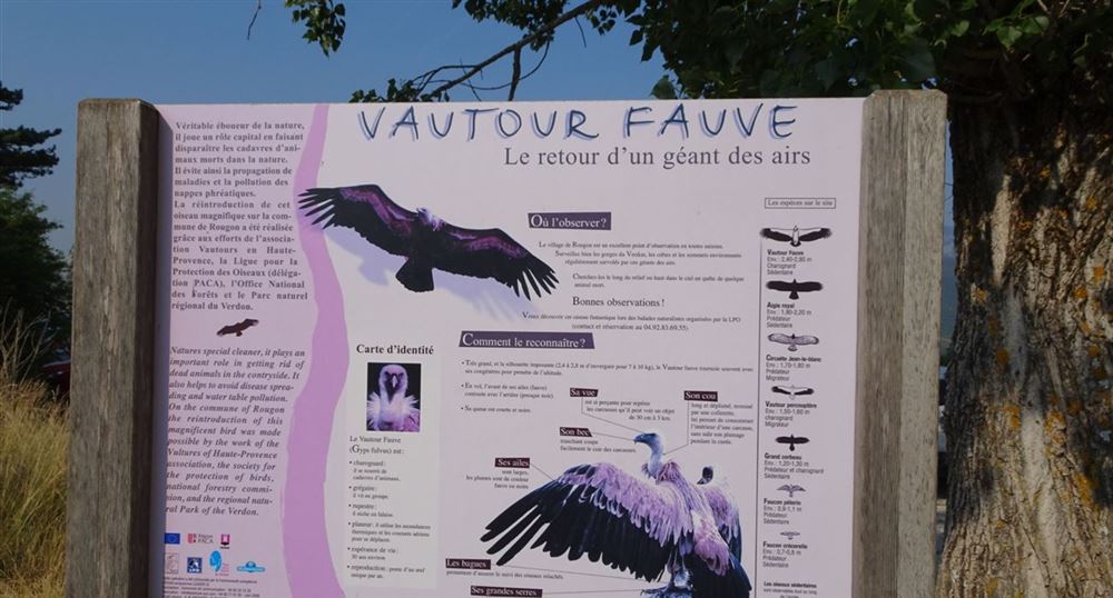 The information panels