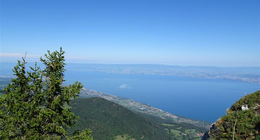 Blick auf den Genfer See