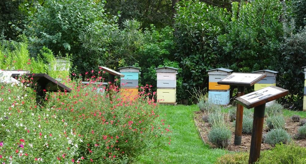 The apiary