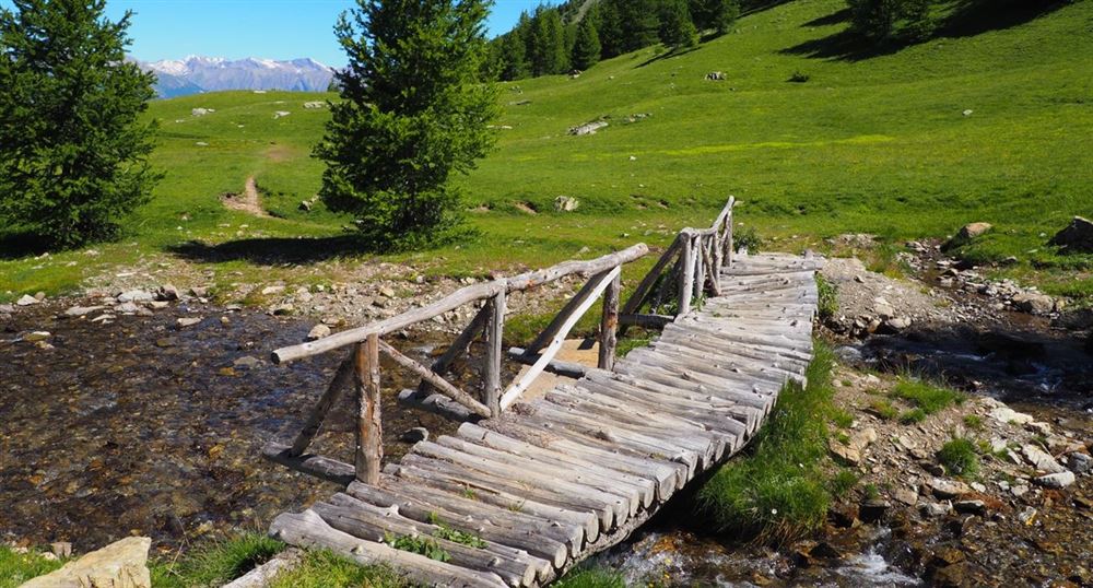 The small wooden bridge 