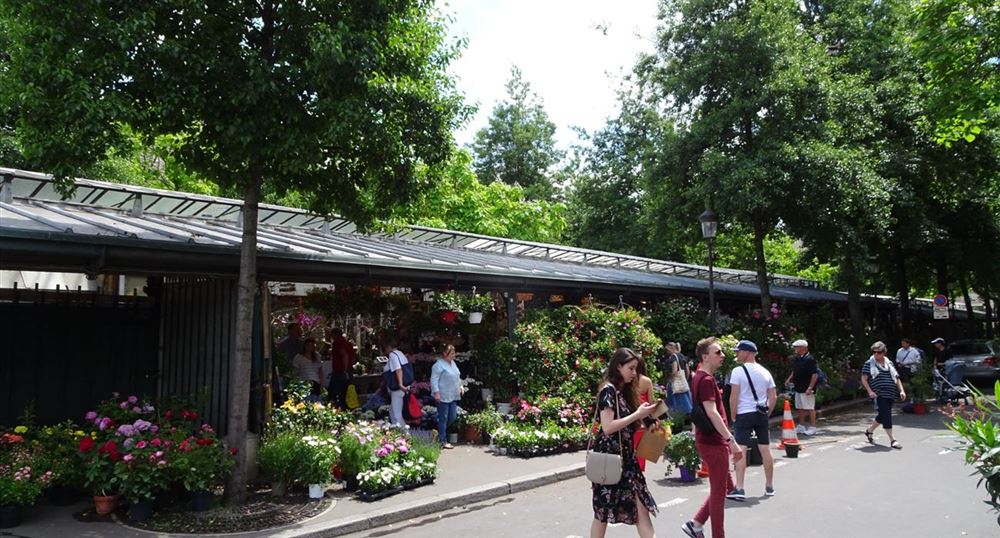 Der Blumenmarkt auf der Île de la Cité